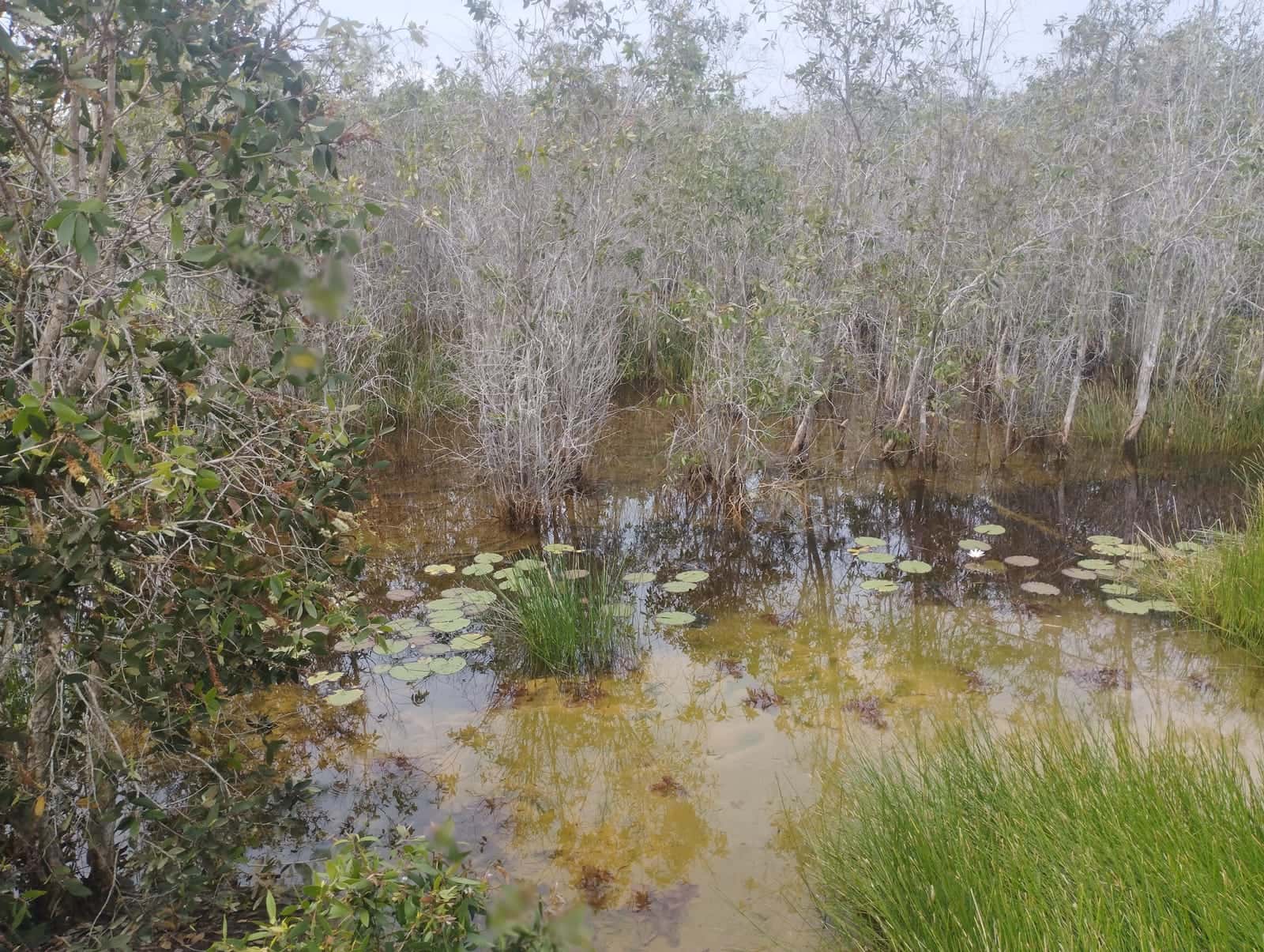 Widely flooded land, still water reflecting the sky
