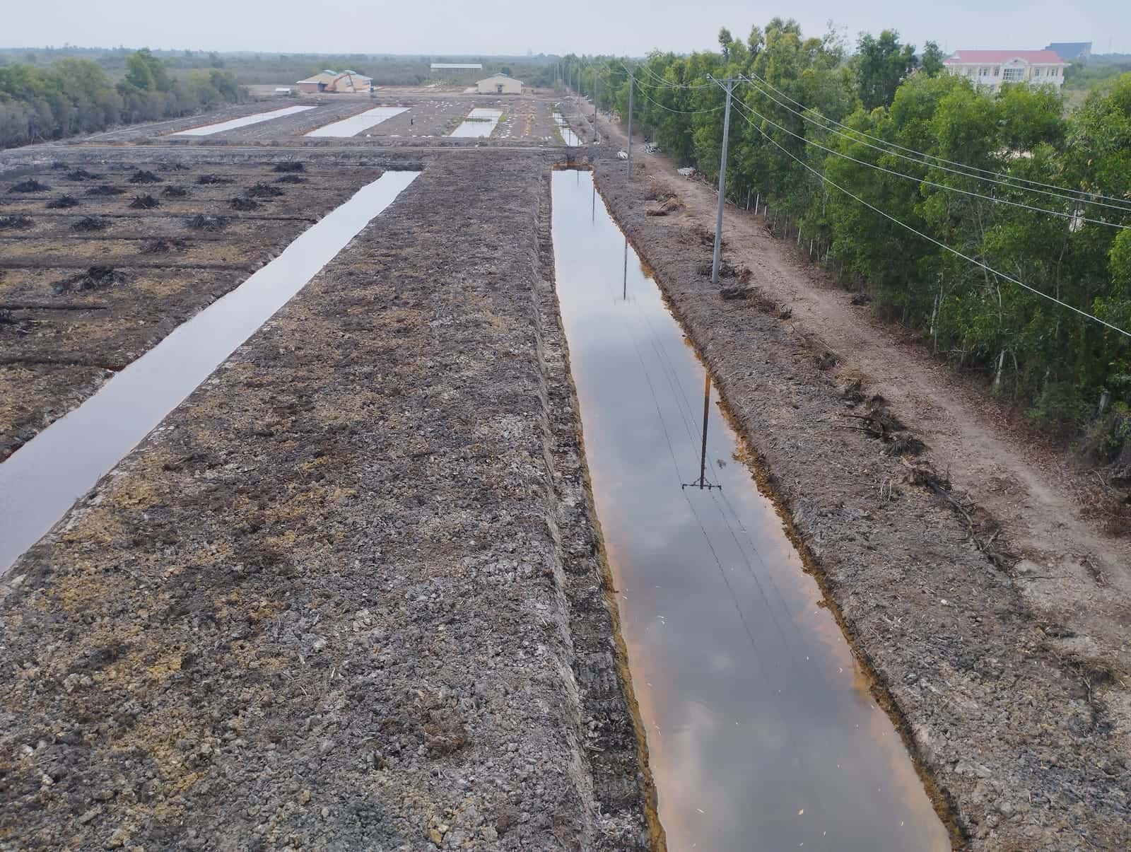 A ditch carrying acid water along the line of the planting beds