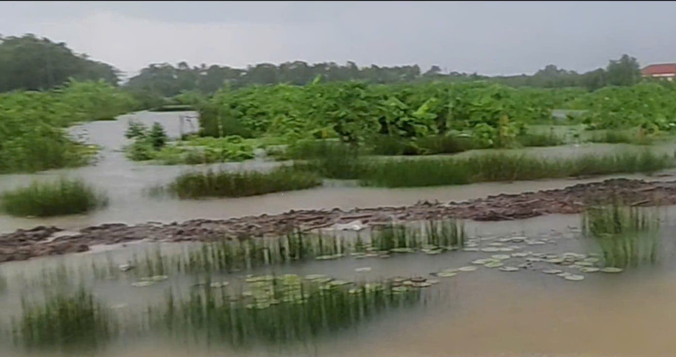 Floodwater covering the entire site, only a few treetops still showing
