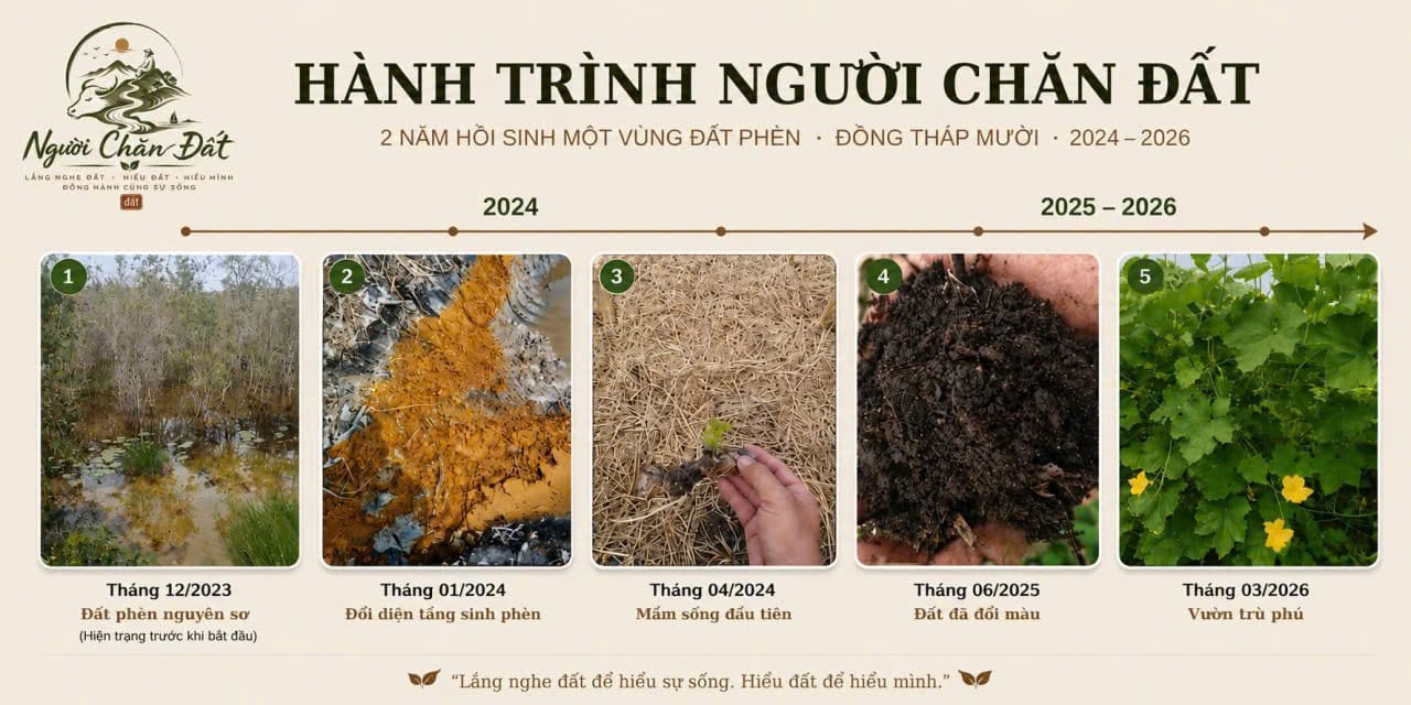 Summary board of the Người Chăn Đất journey: five photographs in sequence, from raw acid sulfate land in December 2023, the acid layer in January 2024, the first seedling in April 2024, darkened soil in June 2025, to a thriving garden in March 2026